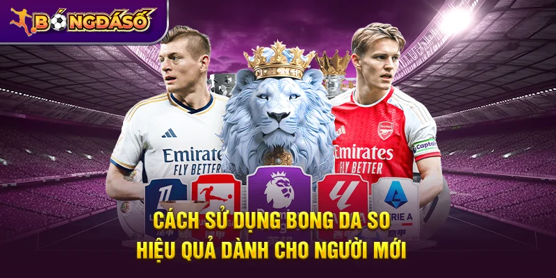 Bongdaso - Tỷ Số Bóng Đá, KQBD, Lịch Thi Đấu & Dữ Liệu Trận Đấu 24/7 6 Cách sử dụng Bongdaso hiệu quả dành cho người mới
