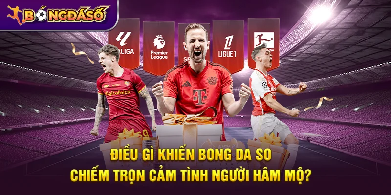 Bongdaso - Tỷ Số Bóng Đá, KQBD, Lịch Thi Đấu & Dữ Liệu Trận Đấu 24/7 4 Điều gì khiến Bongdaso chiếm trọn cảm tình người hâm mộ?